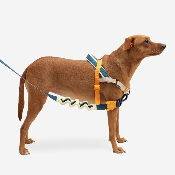 Voyage | SofterWalk Harness Supply - Image 3