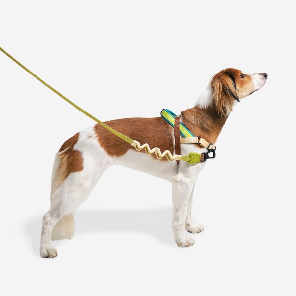 Avocado | SofterWalk Harness Cheap - Image 2
