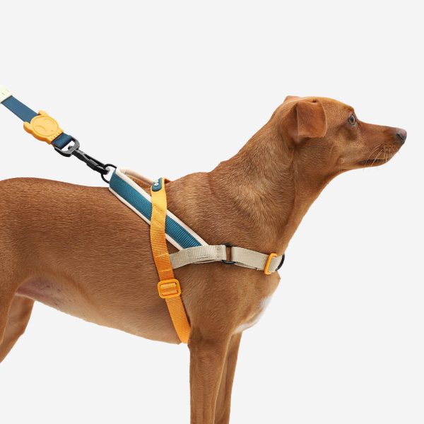 Voyage | SofterWalk Harness Supply - Image 5