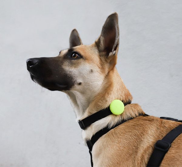 Lime | AirTag Holder For Cheap - Image 4