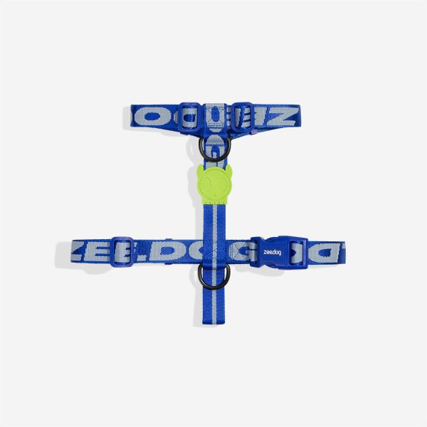 Astro | H Harness Online