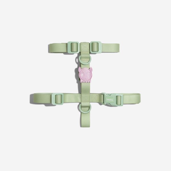 Melissa x Zee.Dog Olive Green | H-Harness Online now