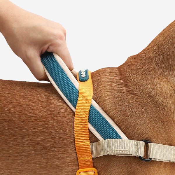 Voyage | SofterWalk Harness Supply - Image 4