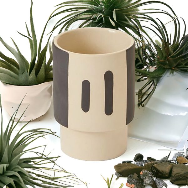 Trabar Pot Online now
