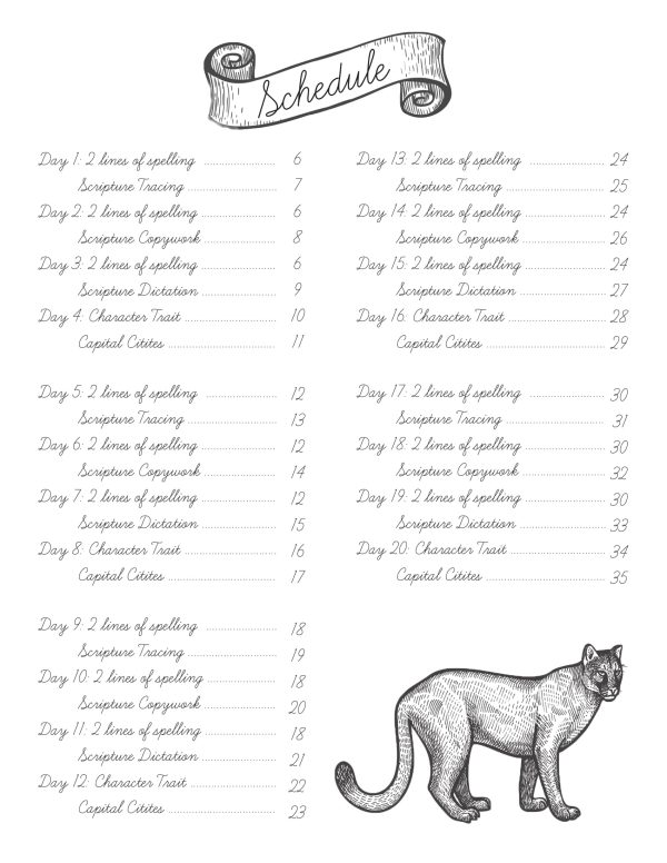 North America Cursive Digital Book Online now - Image 3