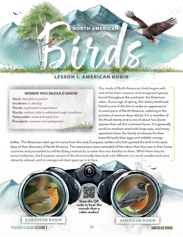 North American Birds Part 2 Printed Books Online Sale - Image 4