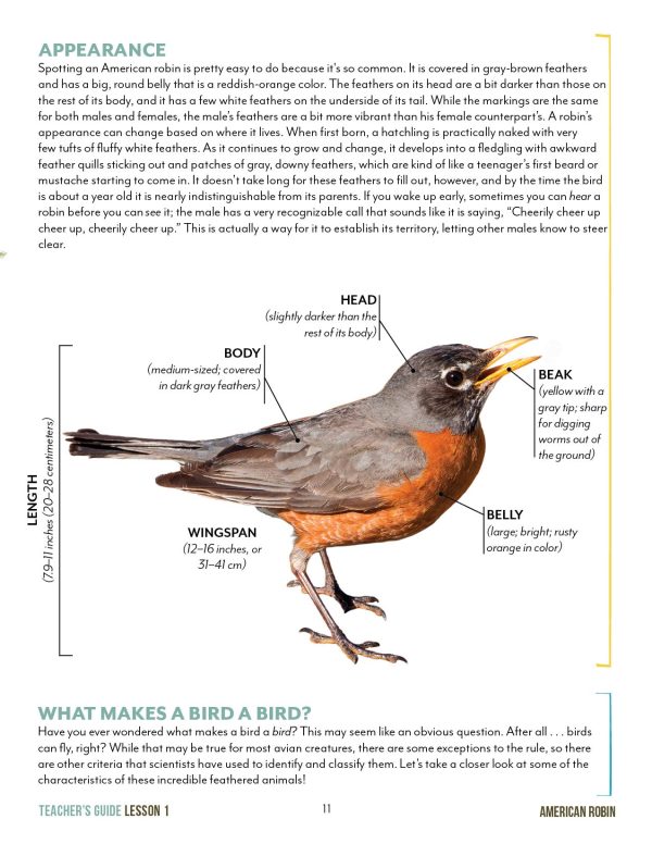 North American Birds Part 2 Printed Books Online Sale - Image 5