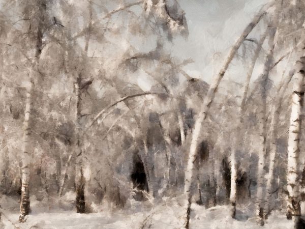 Forest Snow Discount